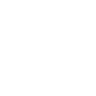 Header Language Icon